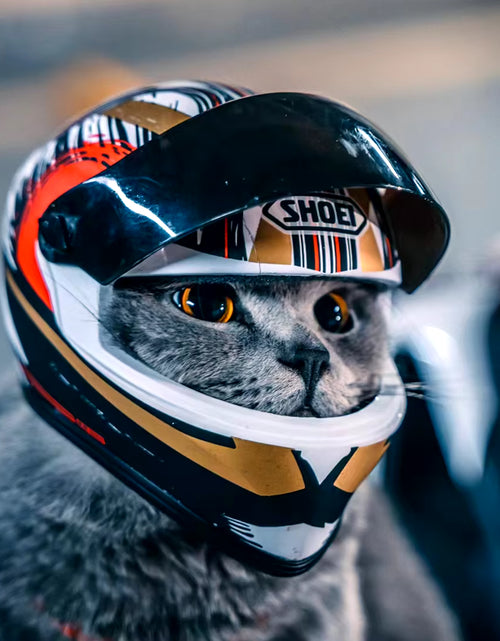 Load image into Gallery viewer, Pet Helmets,Cat Helmet,Dog Helmet-Outdoor Mini Head Protecting Safe Hat,Motorcycle Helmet Decorative,Pet Photo Props Accessorie
